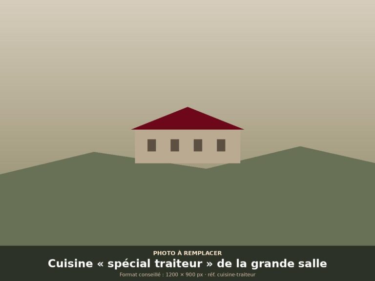 Cuisine équipée pour traiteur